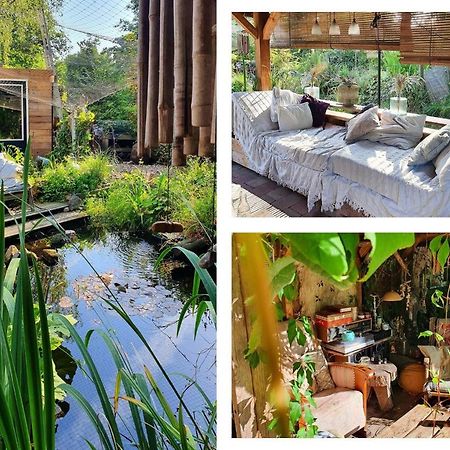 Mark'S Place Bed and Breakfast Άπελντουρν Εξωτερικό φωτογραφία