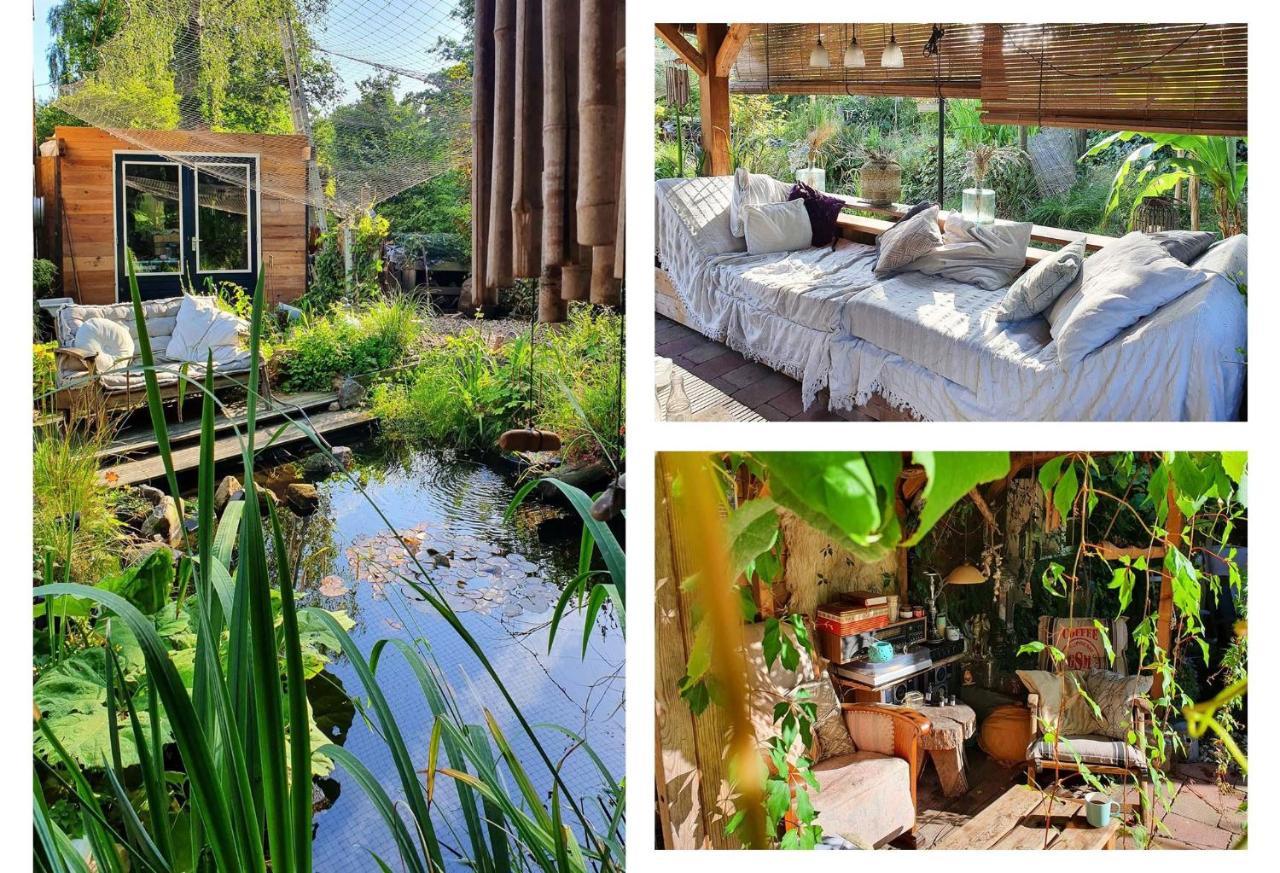 Mark'S Place Bed and Breakfast Άπελντουρν Εξωτερικό φωτογραφία